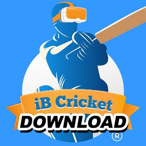 VR Cricket Guy The Career Mode Game Updates